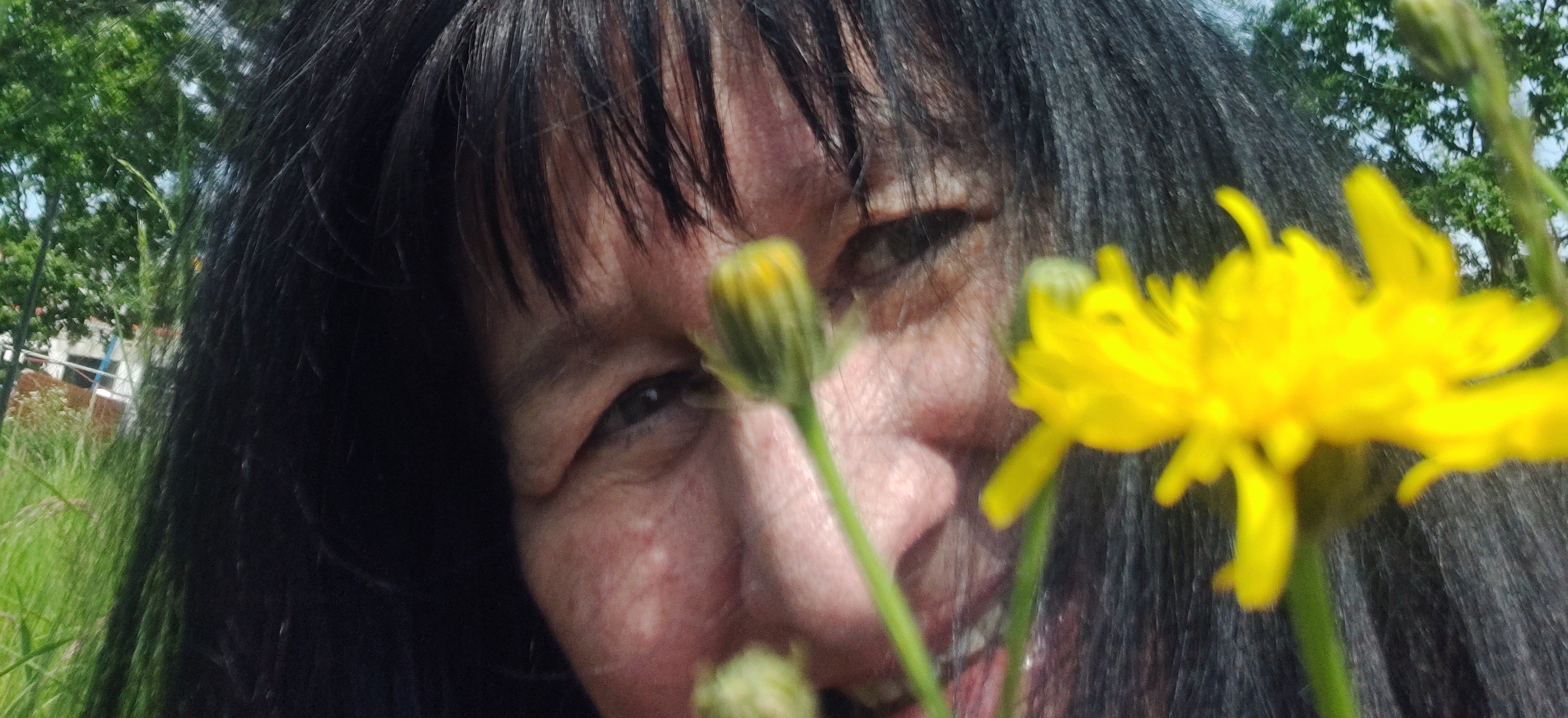 Ode aan de paardenbloem | Toto Animo