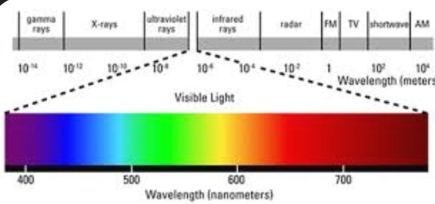 De Mysterieuze wegen waardoor we kleur ontwaren | Toto Animo