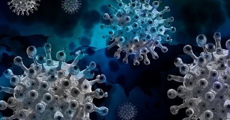 Over de vaccinatie tegen het corona virus | Toto Animo