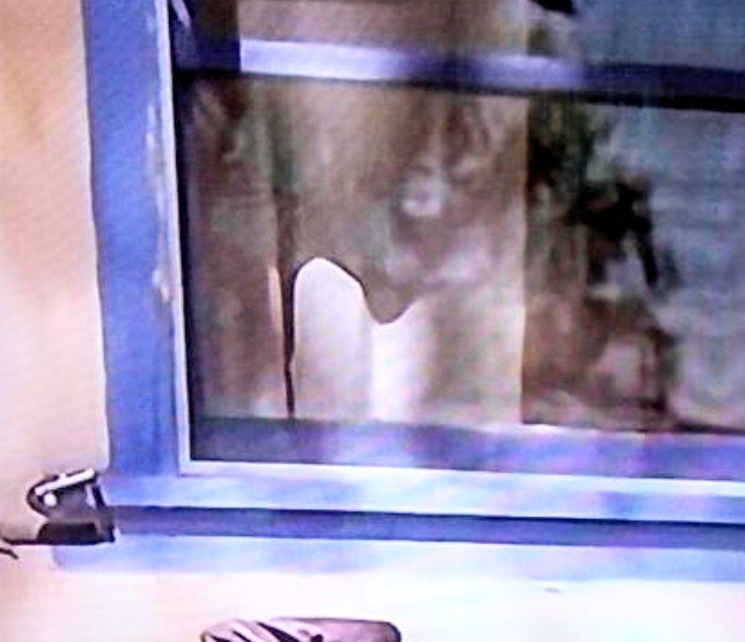 The Mystery of Skinwalker Ranch | Toto Animo