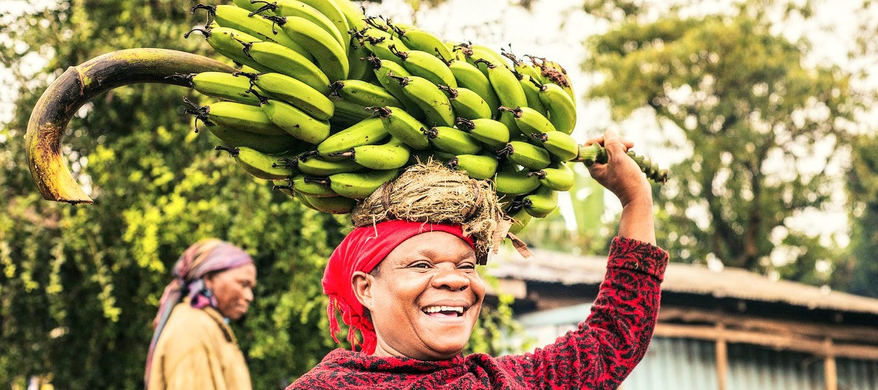 Hopelijk overleeft de banaan het! | Toto Animo