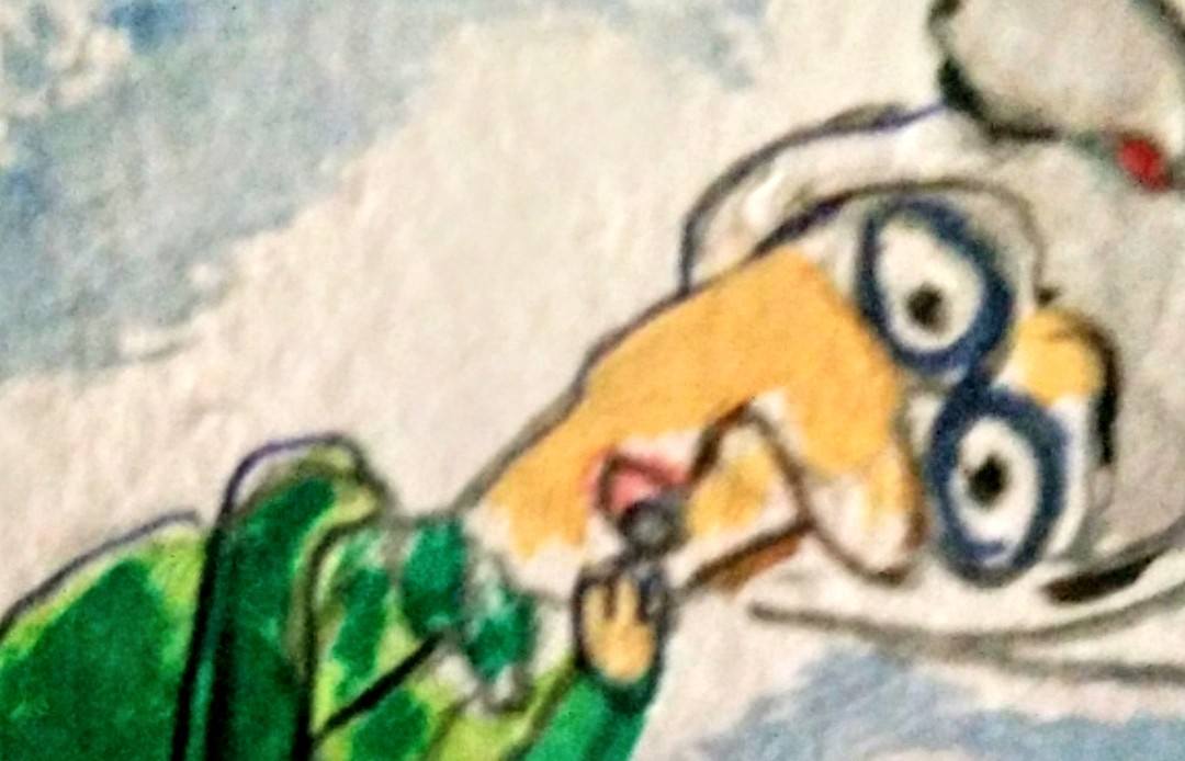 Ben je stram en slecht te been? | Toto Animo