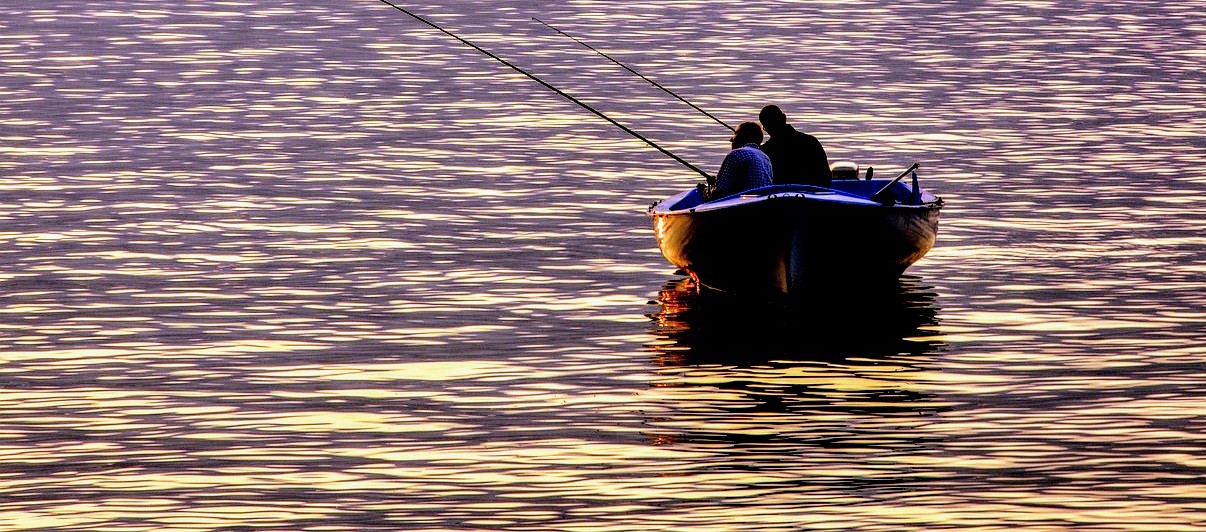 Tragedy boat | Toto Animo