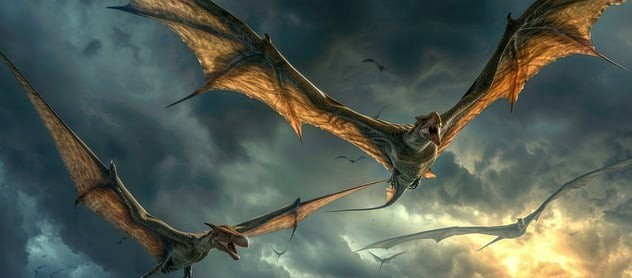 Van dinosaurus tot vogel | Toto Animo