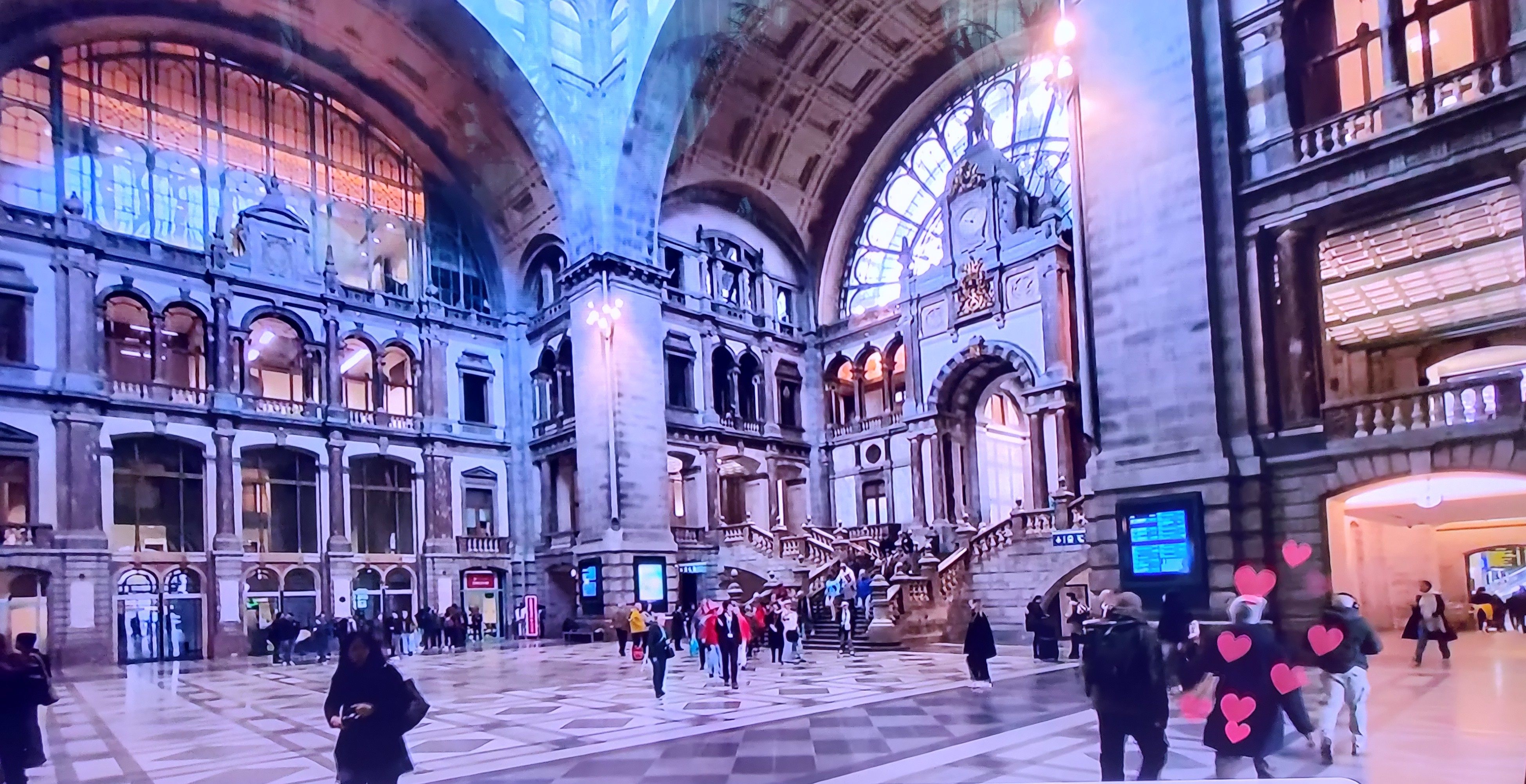 "Een city-trip doorheen de stad Antwerpen | Toto Animo