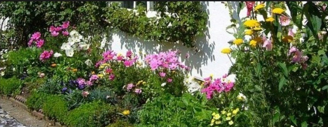 Het droomproject van Jean Baptist Bloemenveld en Julia Zonsondergang | Toto Animo