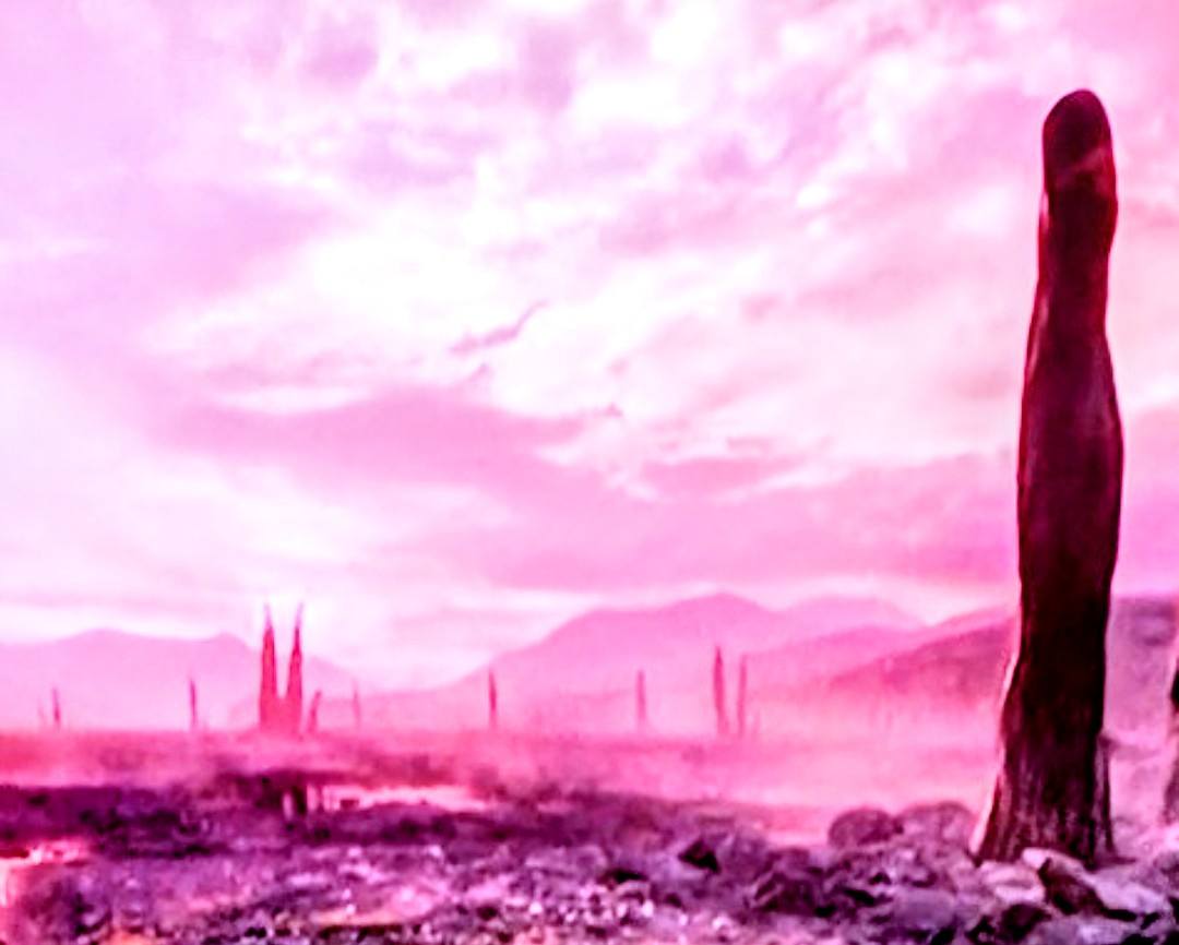 Tijdens Pangea ontstond op de aardkorst de allereerste samenwerking | Toto Animo