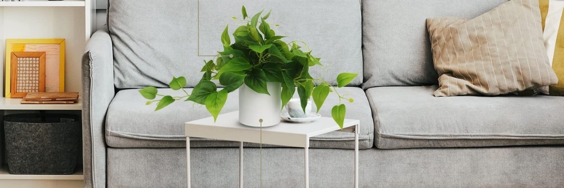 Faux Plants Indoor, Artificial Plants for Home Decor Indoor, Pothos Small Fake Plants - Fake Plants Decor and Decorative Plants, Fake Plant and Artificial Plant for Indoor and Outdoor - White Pot | Nahidul Bd