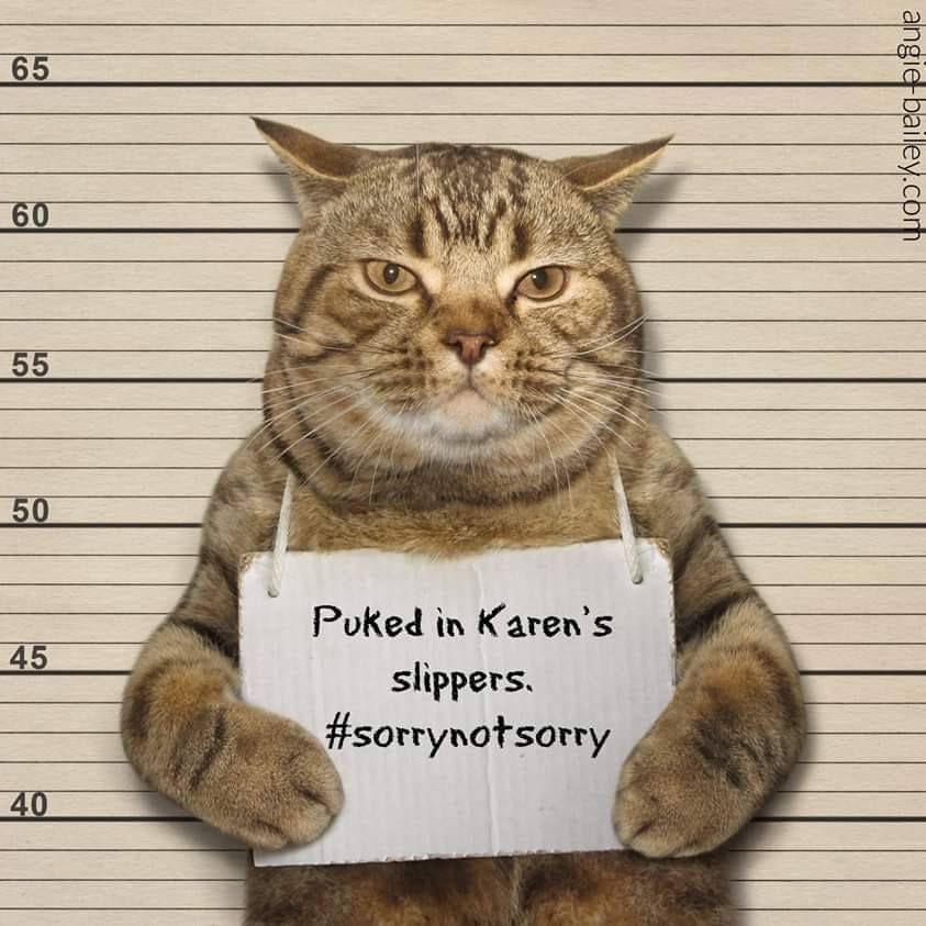 Karen kittys www.np.gov.lk