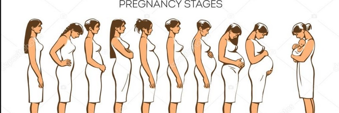 how-much-weight-should-you-gain-during-a-pregnancy-yoors