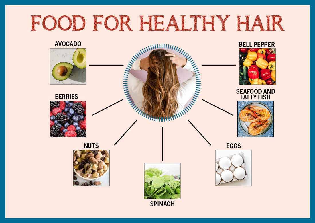 Foods that are healthy for hair - Yoors