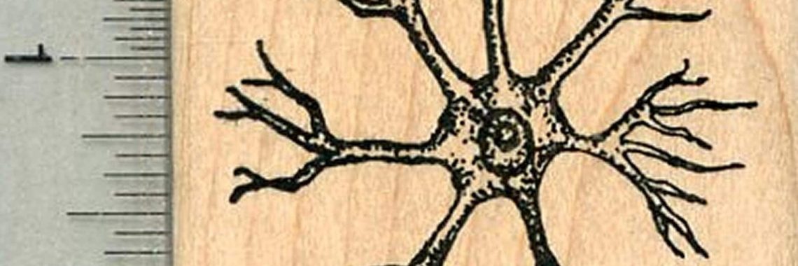 Labeling a neuron: Discover how neurons are labeled | Ogochukwu Ugwu