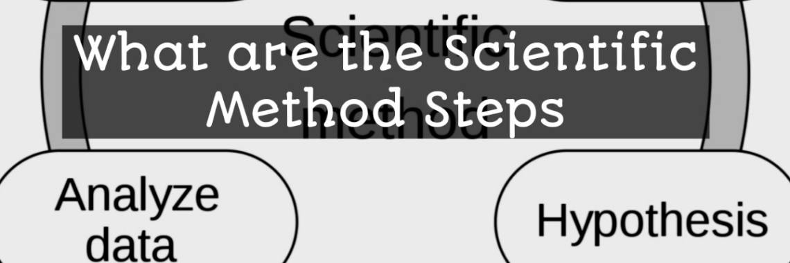 What are Scientific Method Steps ? | Sadaf W.