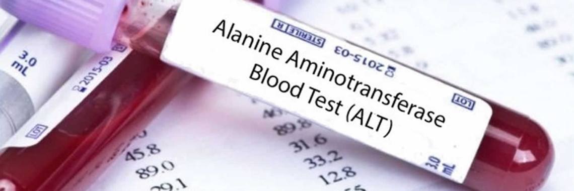 What Is ALT In Blood Test