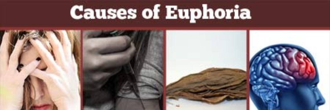 What is Euphoria | sameerbedar07