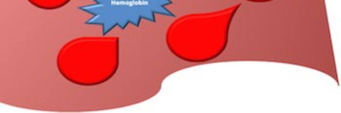 What Is MCH In Blood Test | sameerbedar07