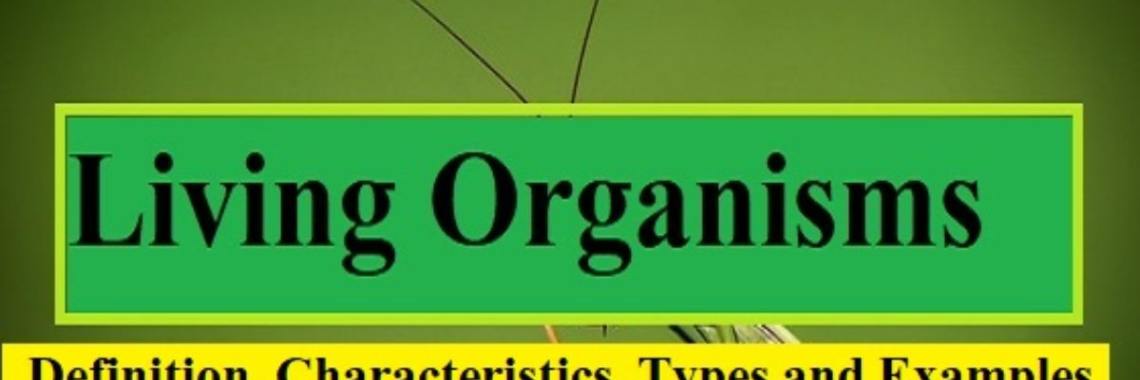 what-is-organism