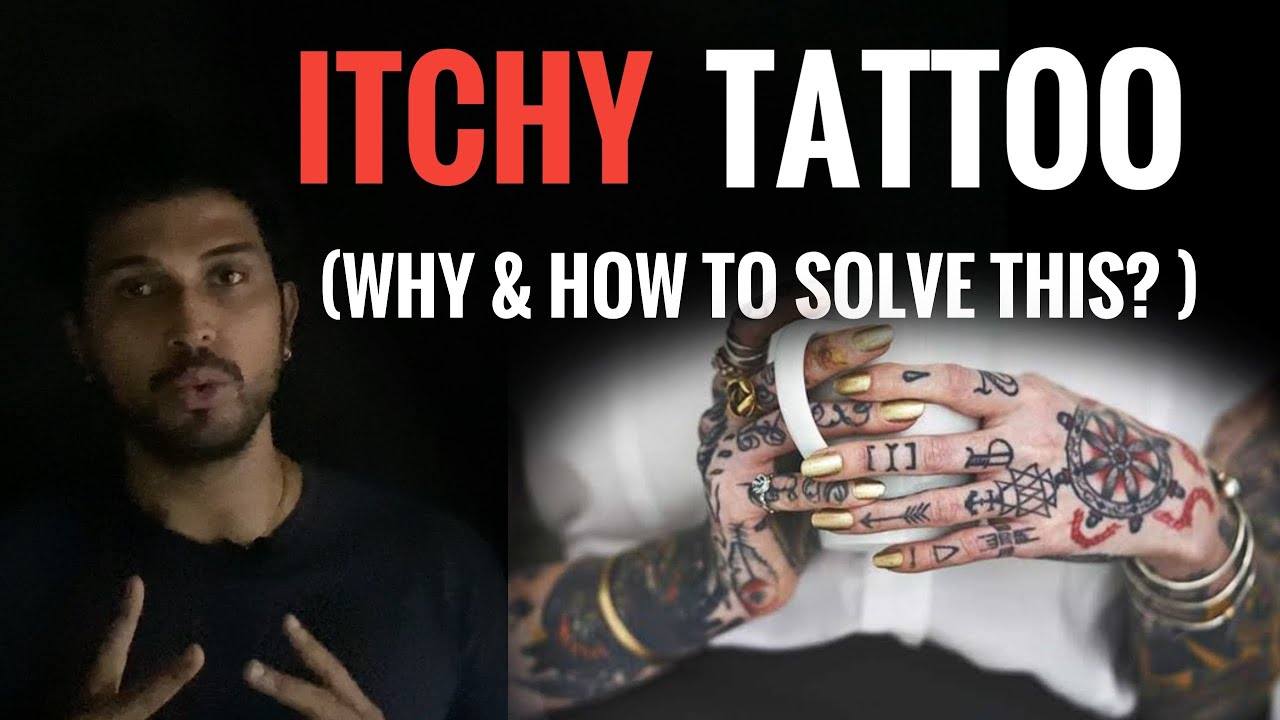 How to Deal with Itchy Tattoos  Official DrNumb USA