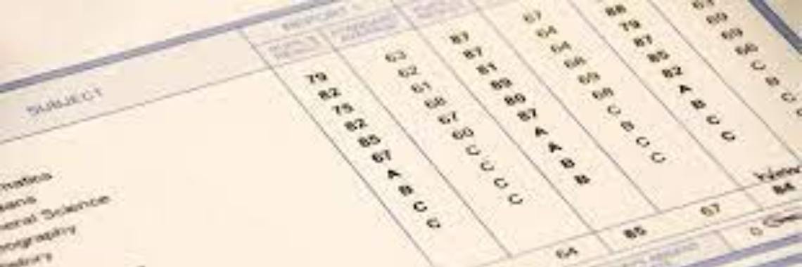 What are Transcripts? | idk