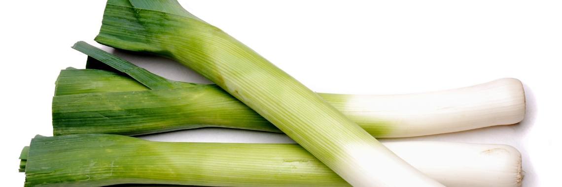 What is Leek? - Yoors