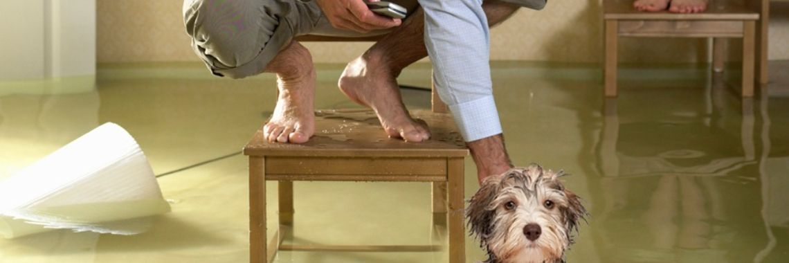 what to do with a flooded basement | irfanrashid154