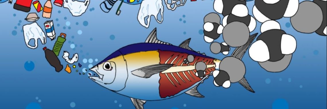 Marine foods and toxicity | Ra-Za-Wee