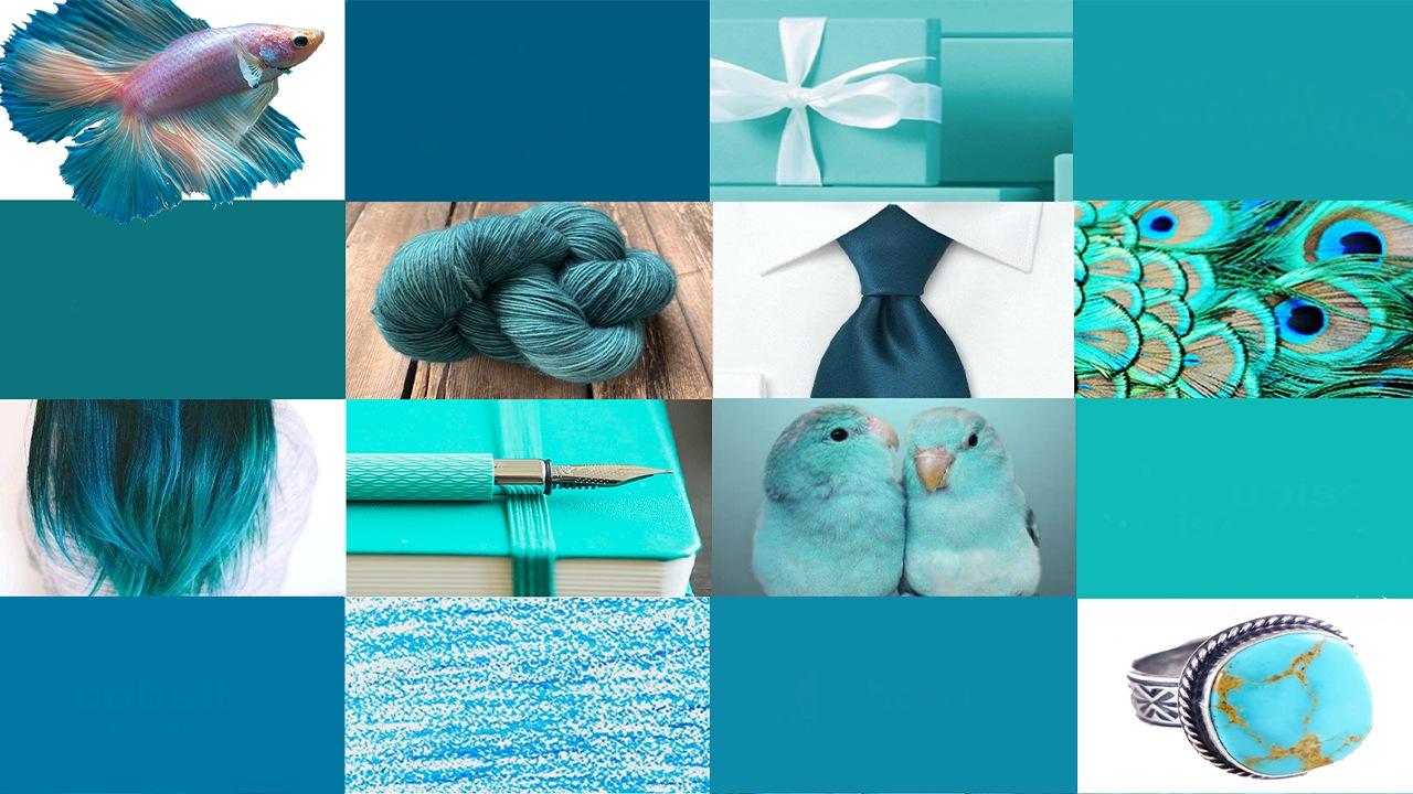 what-color-is-teal-yoors