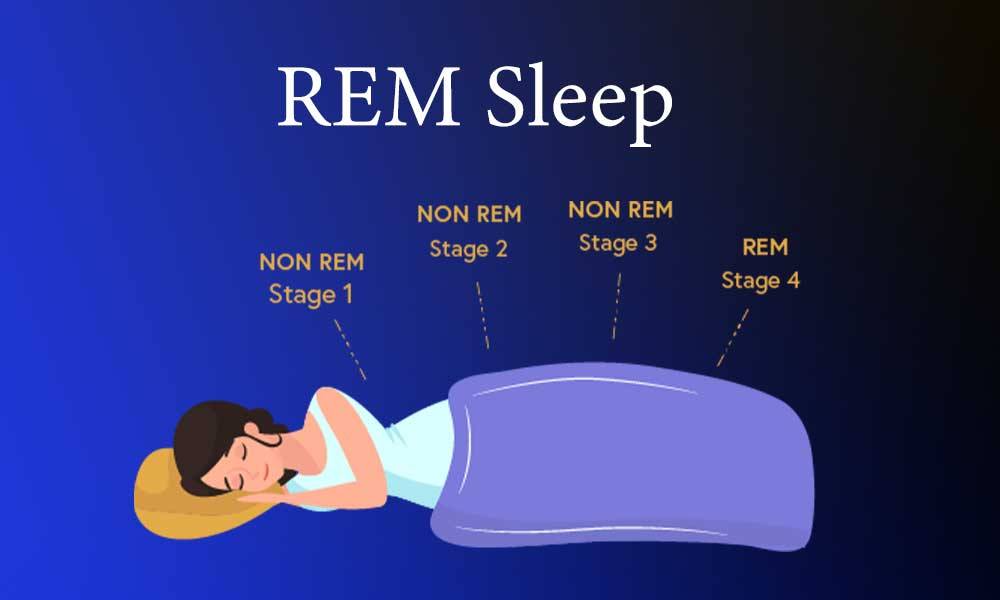 rem sleep