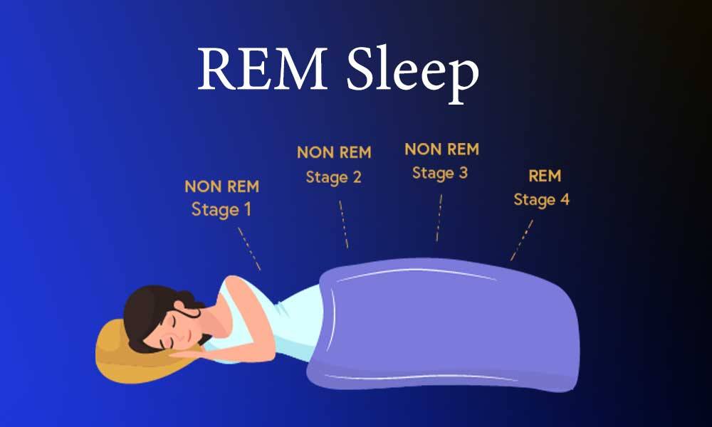 Do You Dream Outside Of Rem Sleep