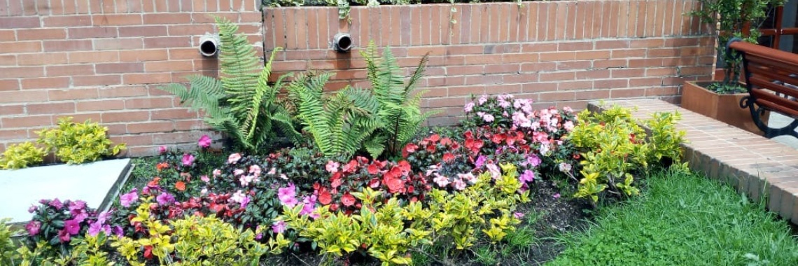 Los Jardines de mi residencia | Carmen Vidal