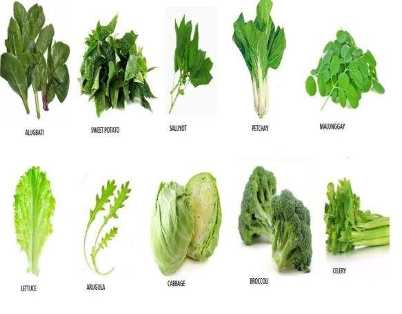 Health benefits of leafy greens - Yoors