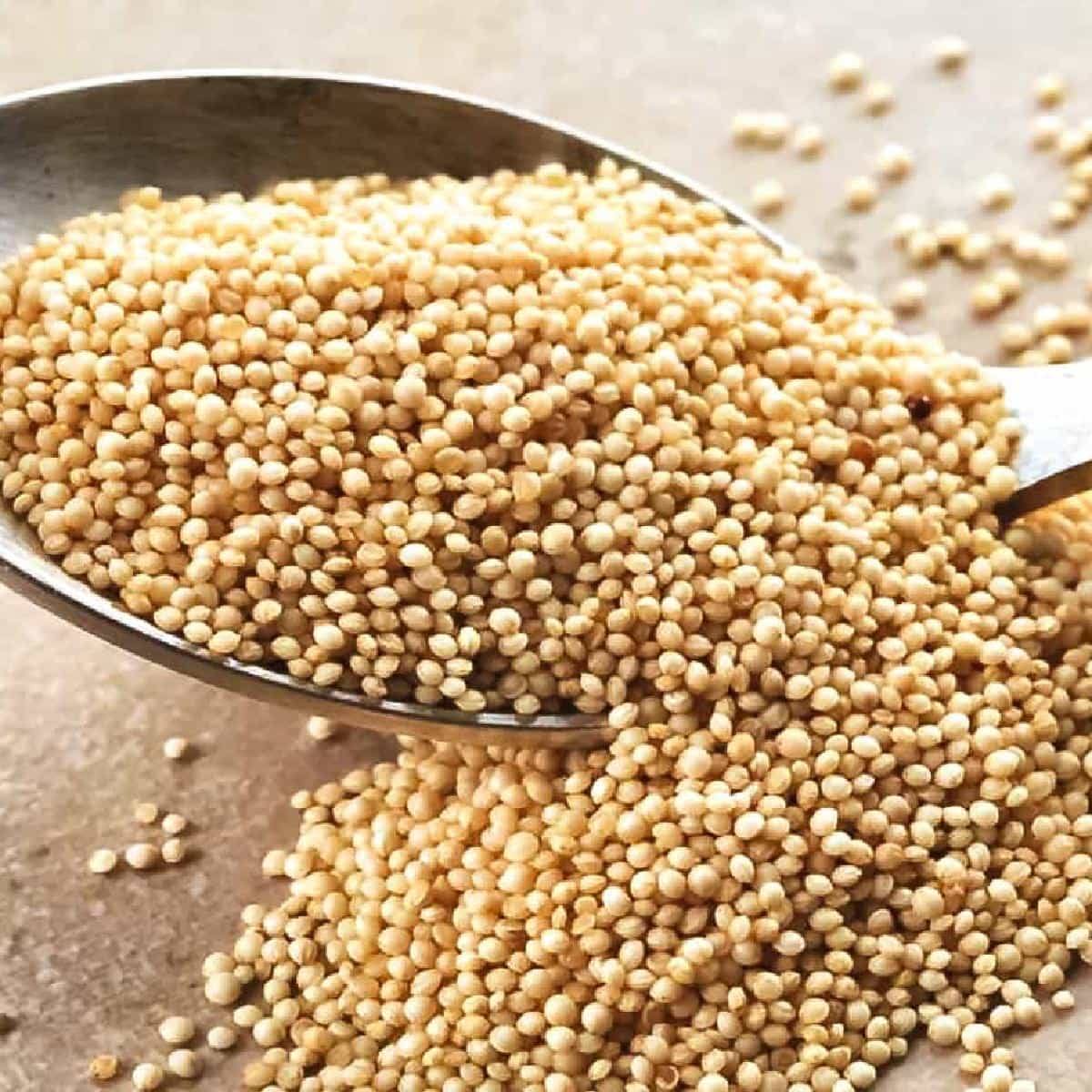 Health Benefits of Amaranth Yoors