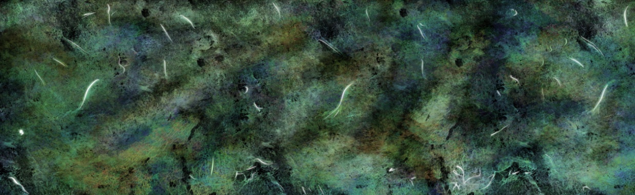 Rainy Day | Maximilian G. Wolf