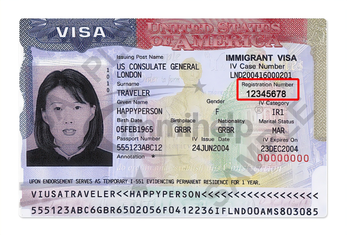 travel document number on us visa