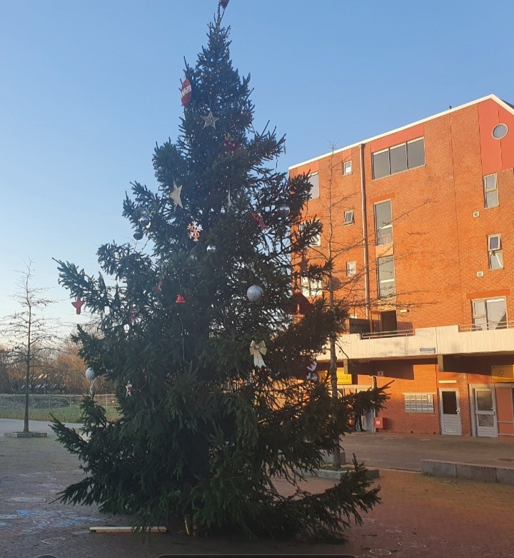 Kerstboom op Plein Oost Yoors