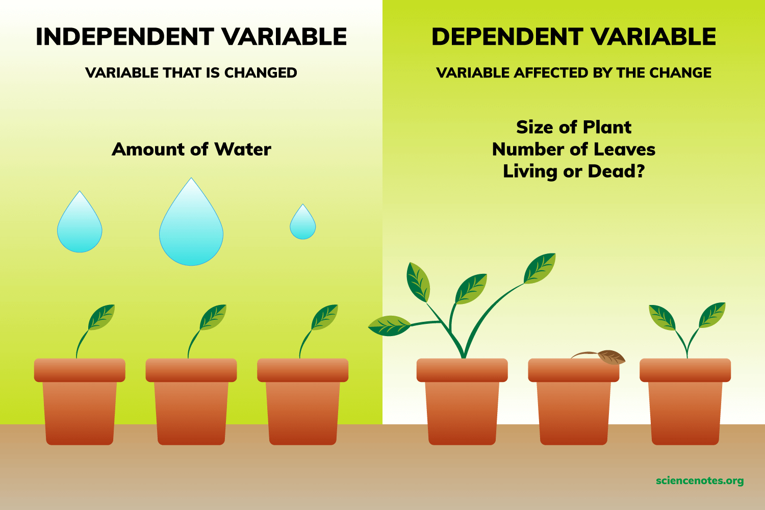 dependent variable in experiment