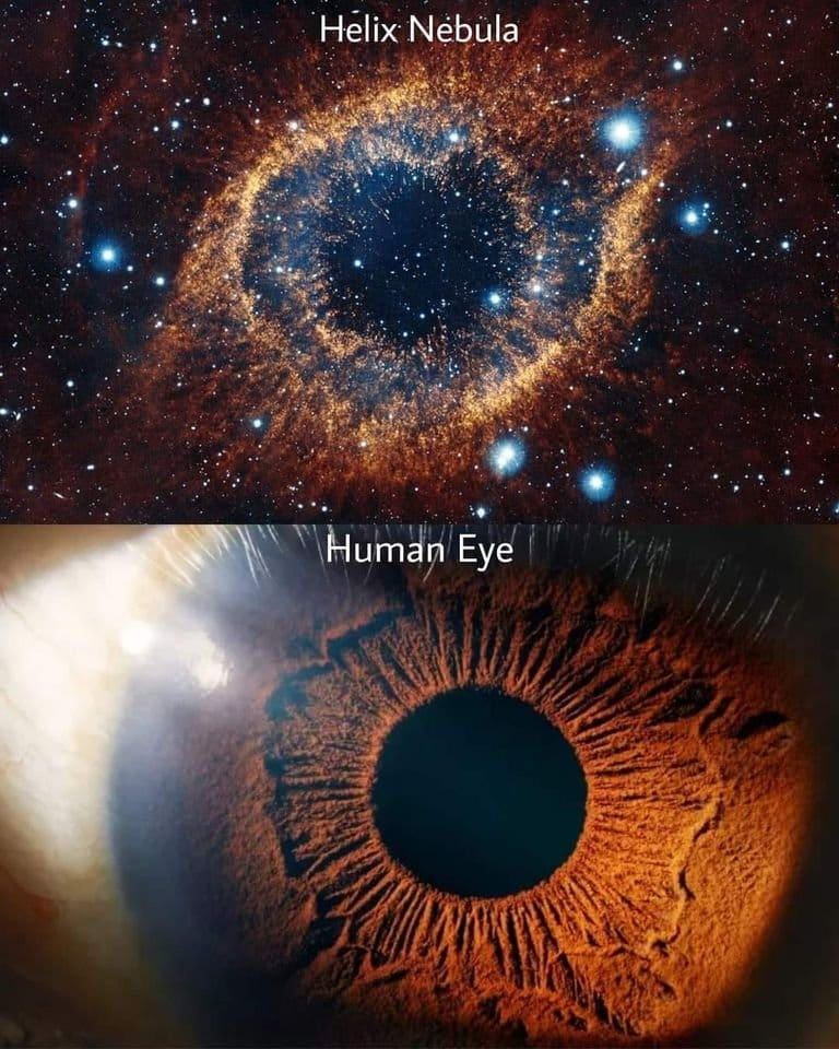 el ojo del universo 