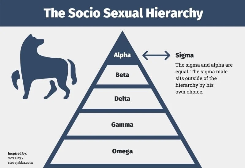 Sigma Male Rules are ALARMING- Here's why