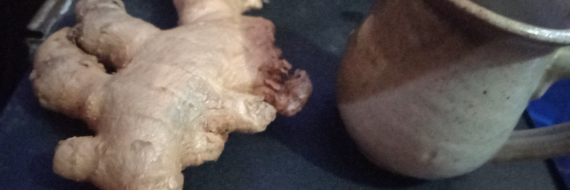 the gingerbread story | Marygrunge