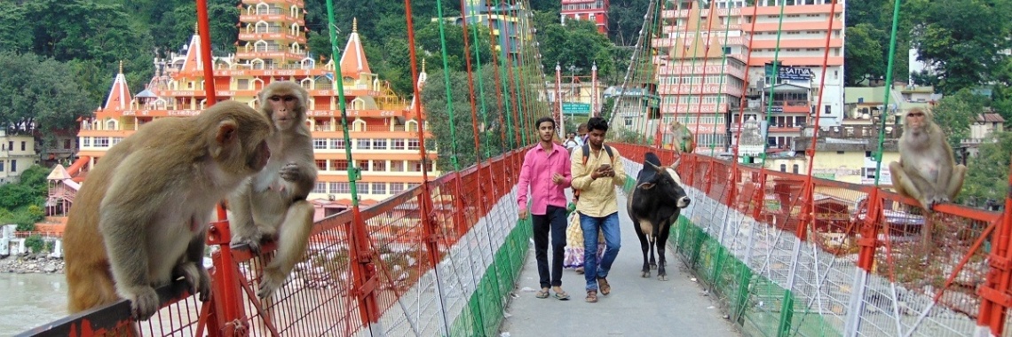 Kleurrijke Chaos - Een India reisverslag | Jenn