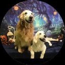 thepetpawlor