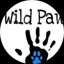 wildpaws