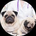 animedpethospital