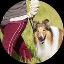 classycritters