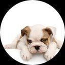 prettypetssalon