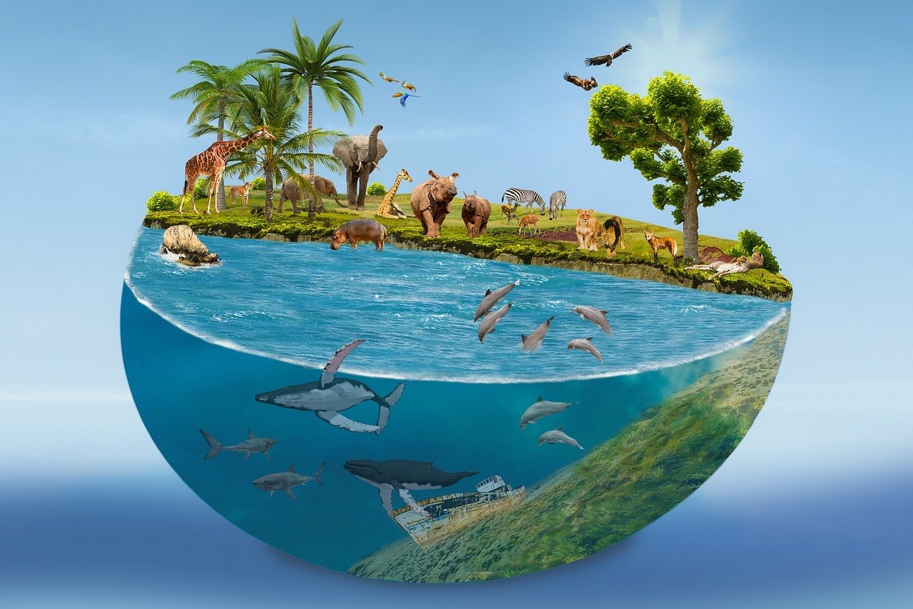 Greenpeace: A fighter for a sustainable future | Animal Blogger