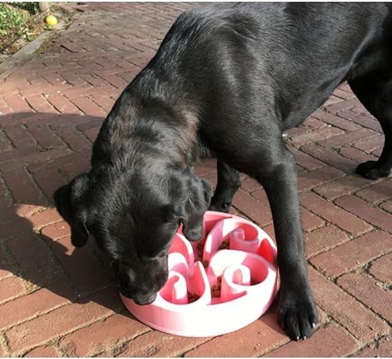 Review: De Eat Slow Live Longer Anti Schrokbak voor Gulzige Honden | Animal Blogger