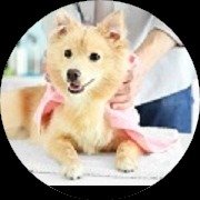 pawskountry