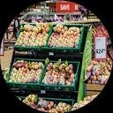 Steda Tropical Foods Ltd