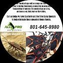 All PRO Pest Control